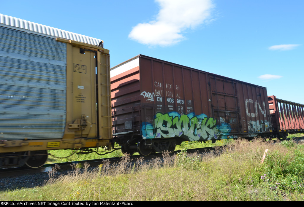 CN 406603